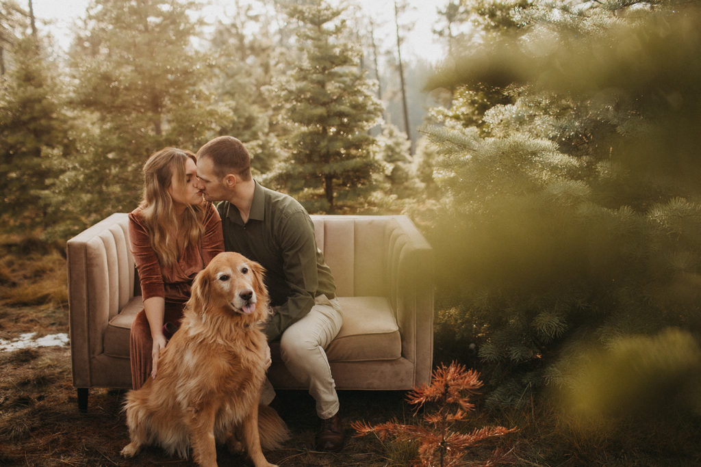 Couple at Christmas Tree Farm sitting on couch kissing while petting their golden retriever
