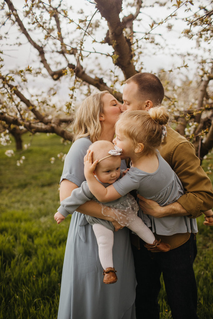 family photos in the cherry blossoms, giving kisses