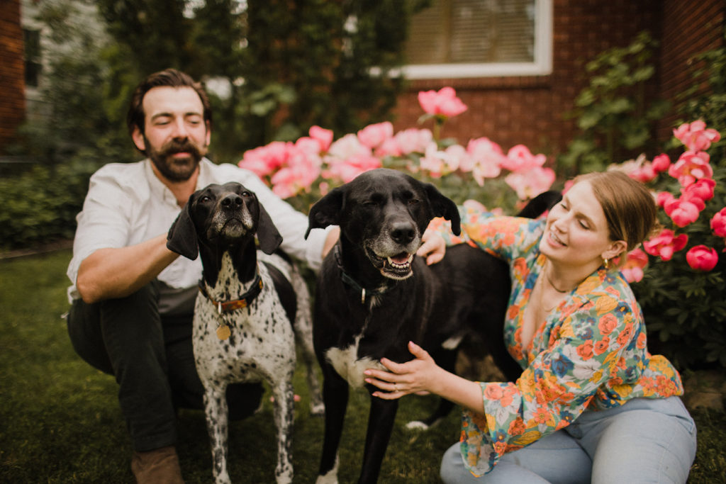 engagement photos with your dogs