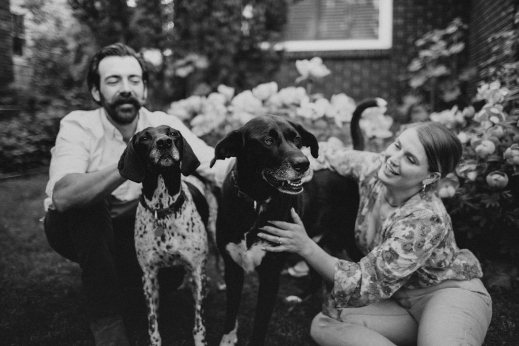 engagement photos with dogs at home