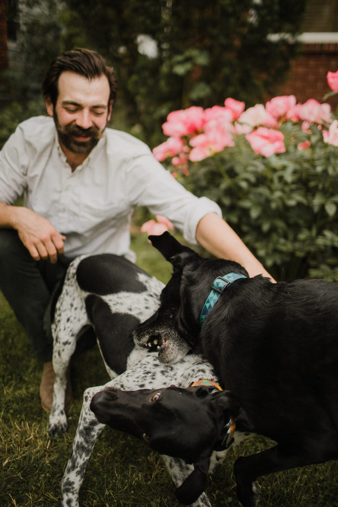 dogs play during engagement photos