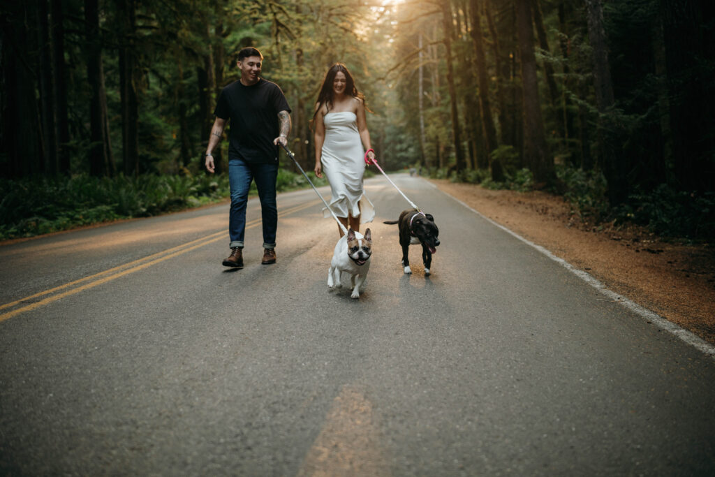 Engagement Session with Dogs 