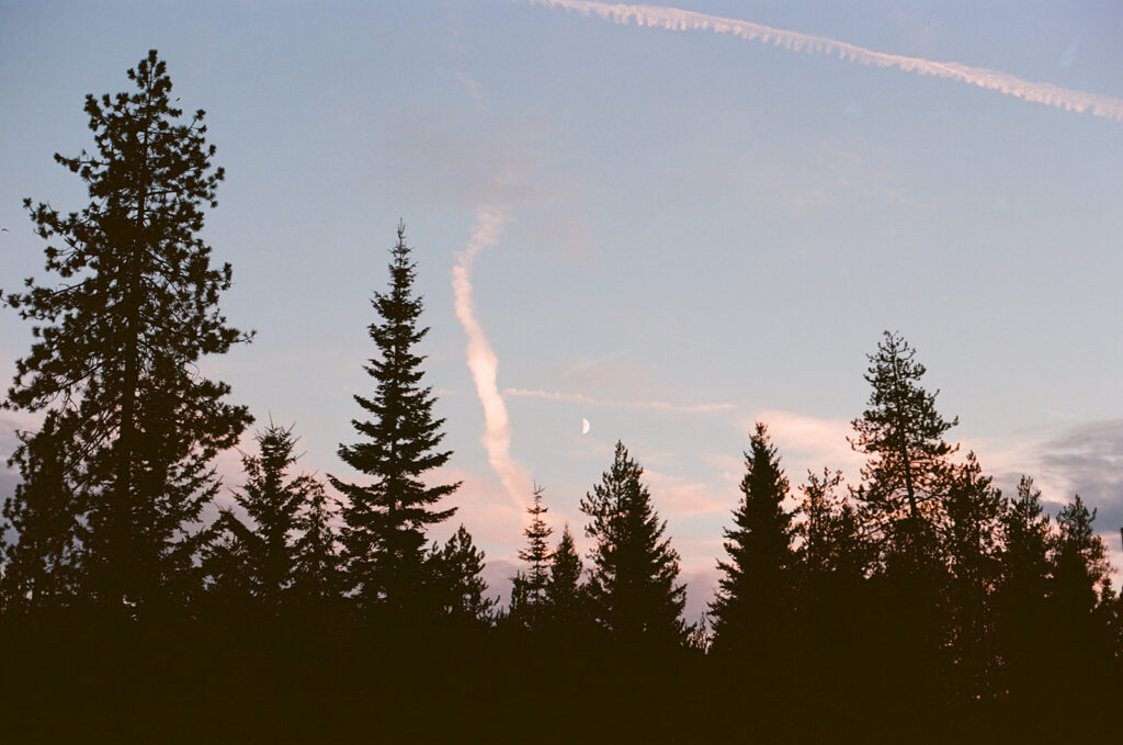 The setting at a 35mm film at a Royal City, WA engagement session.