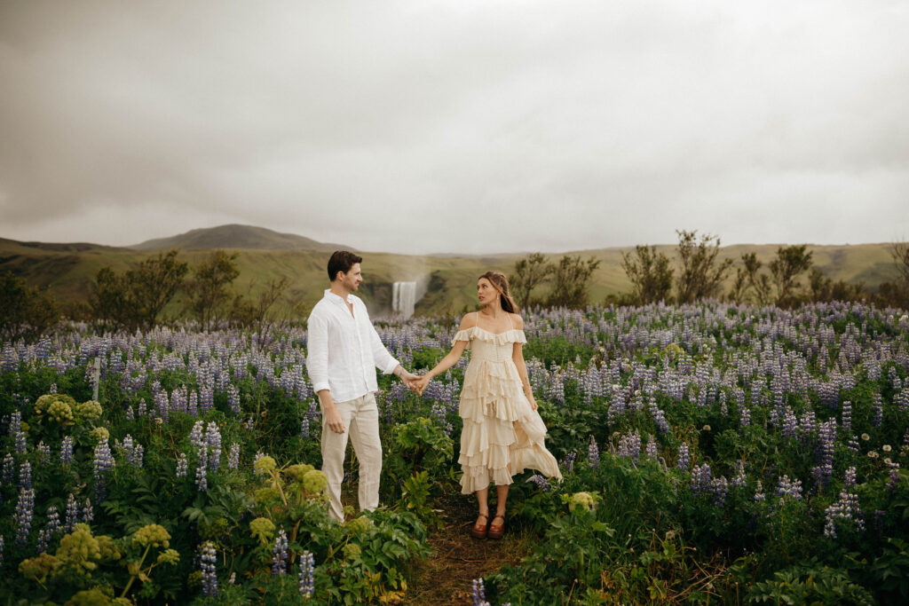 Iceland elopement photographer in lupine field
